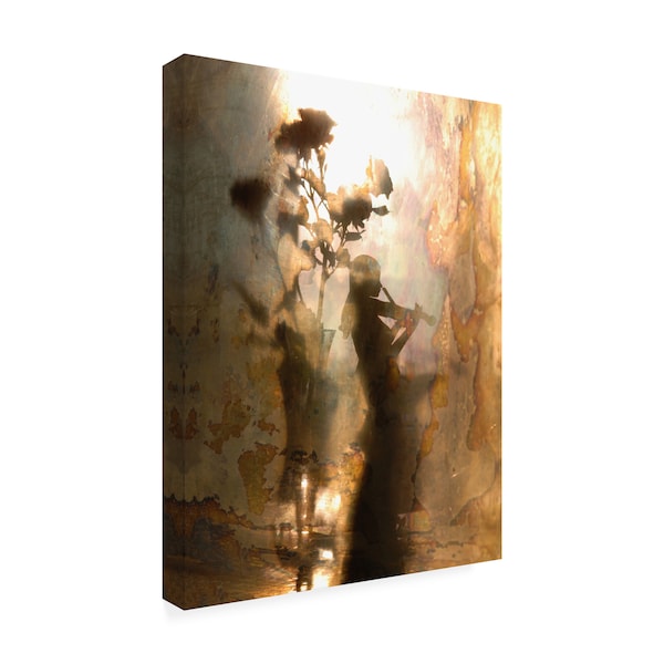 Andrey Morozov 'Music Of Light And Shadow' Canvas Art,24x32